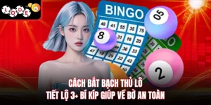 Cách Bắt Bạch Thủ Lô - Tiết Lộ 3+ Bí Kíp Giúp Về Bờ An Toàn